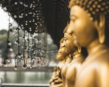 Colombo-Buda-Vive Sri Lanka.jpg