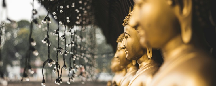 Colombo-Buda-Vive Sri Lanka.jpg Colombo-Buda-Vive Sri Lanka.jpg