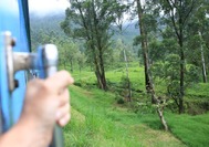 Tren de camino a Nuwara Eliya desde Kandy