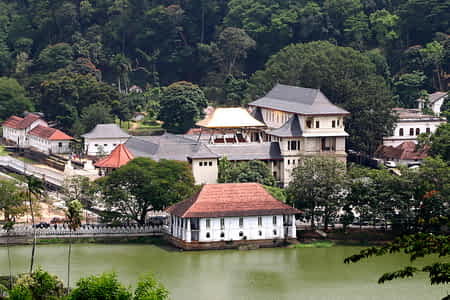 Kandy_3.jpg