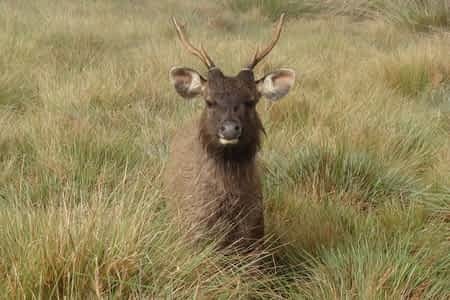 Experiencia_Horton Plains.jpg