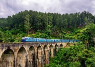 Train Ella2.jpg