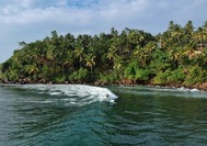 Surf en Mirissa-Sri Lanka.jpg