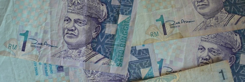 Gua_Moneda.jpg